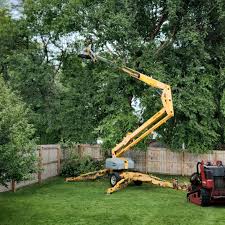 Best Lawn Watering Services  in Bonnetsville, NC